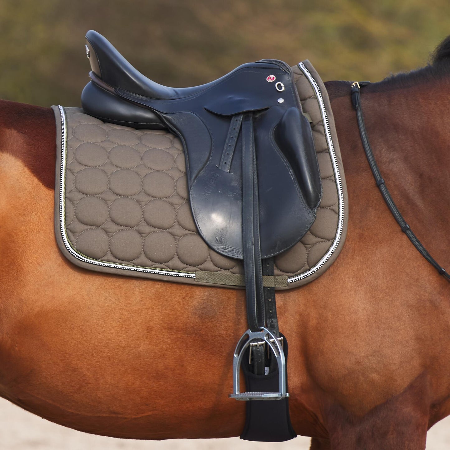 Marquess Dressage Saddle Pad