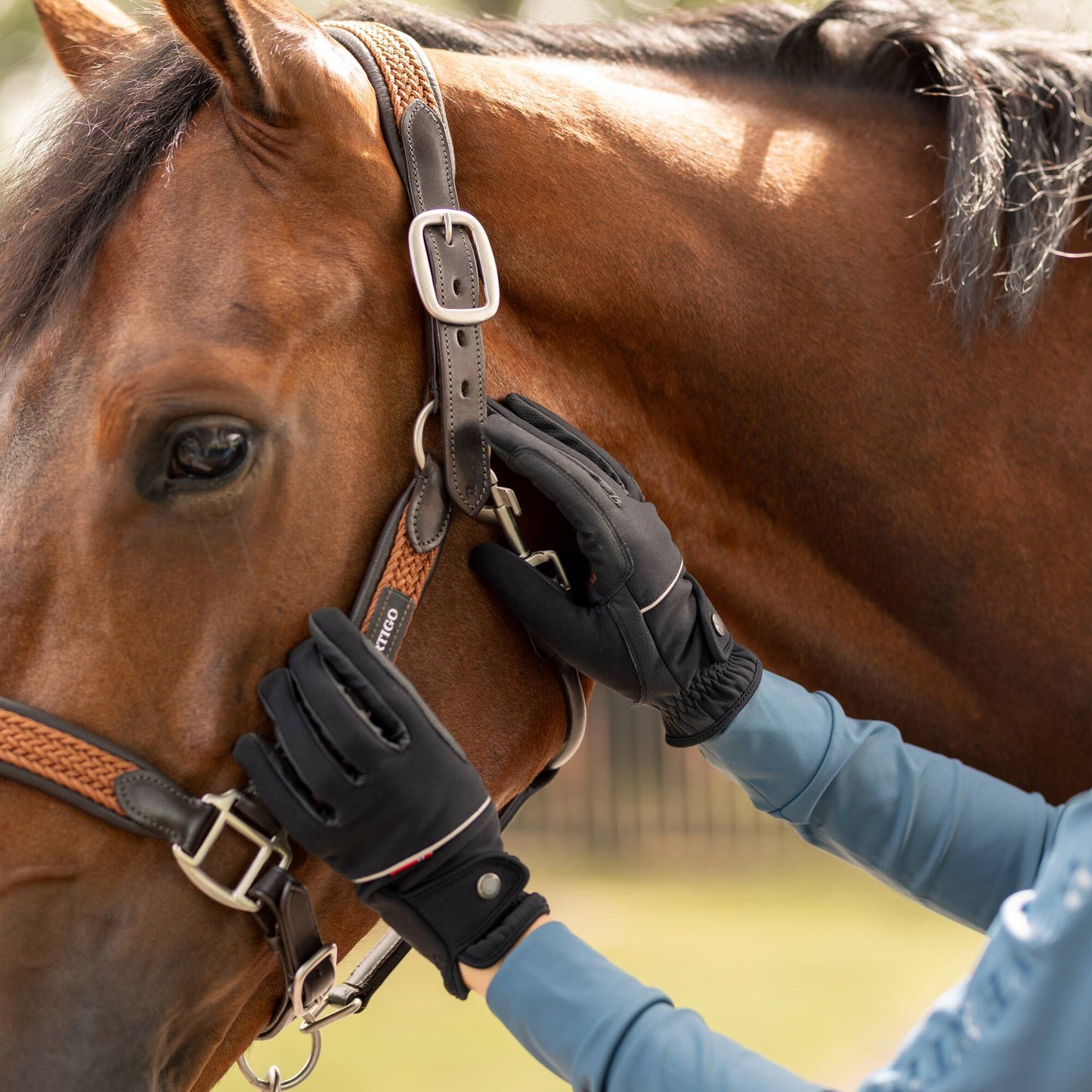 Rahel Thinsulate Winter Riding Gloves