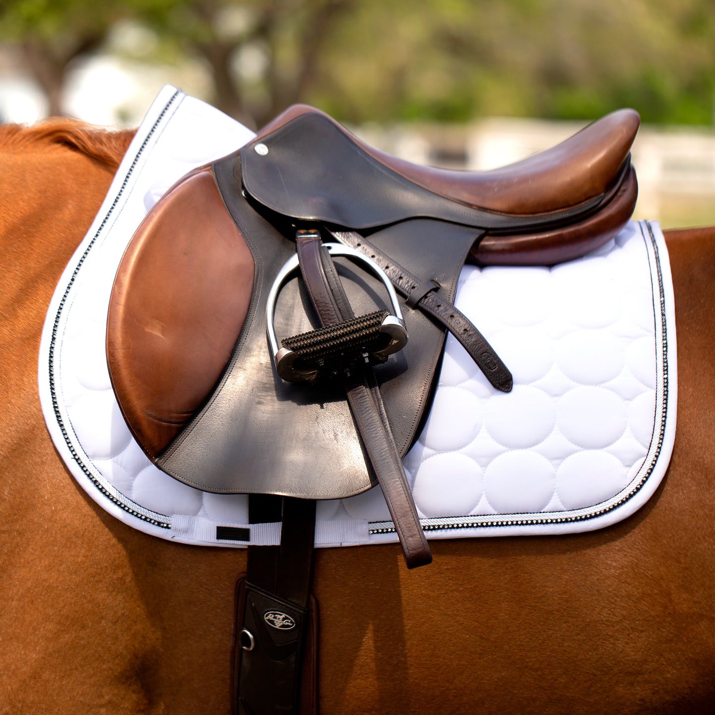 Marquess All Purpose Saddle Pad